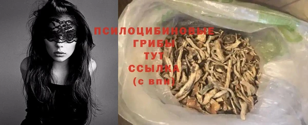 СК Абаза