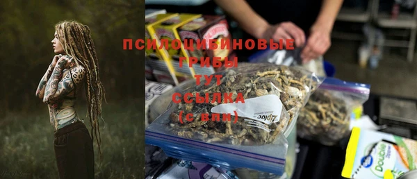 СК Абаза